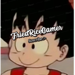 FriedRiceGamer's OIfficial Fan Group
