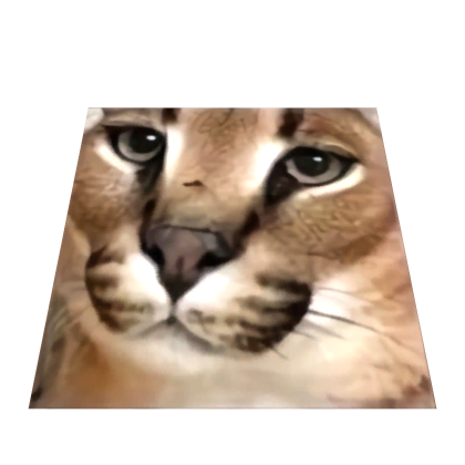 Floppa image