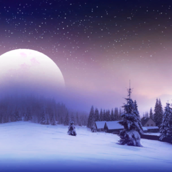 Silent Moonlight Forest