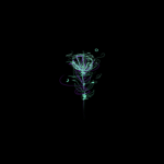 Dark_Thunder|:|Wolves