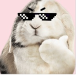 Xx the bunny’s xX