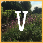 Vespe's Projects
