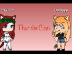 Writing warrior cats books