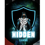 Hidden armmy official