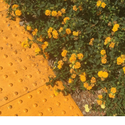✧~♡~✧