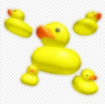 Teh duck world