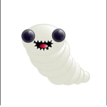 Maggots Gang