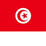 Tunisian group