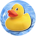 the_duck_squad