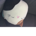 Cam kitty