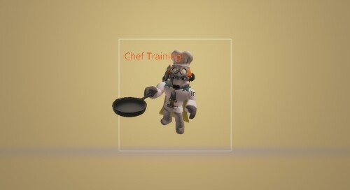 Chef training