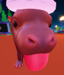 mega cool hippos!
