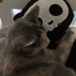 xoella