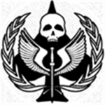 Task Force 342