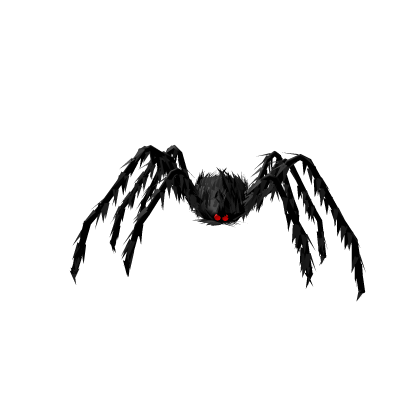 Pet Spider