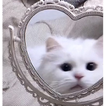 ~UMMM~