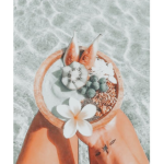 ~Capri Cove