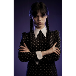 Wednesday nevermore Fan group