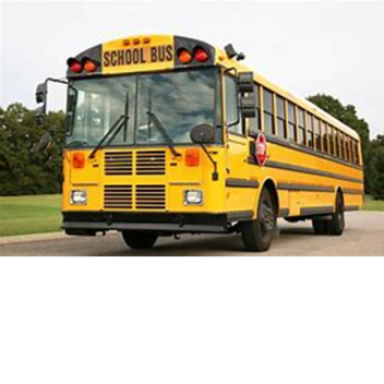 School Bus