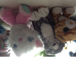 i love animals for ever