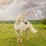 Team unicorn of laura