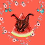 Floopa’s watermelon’s