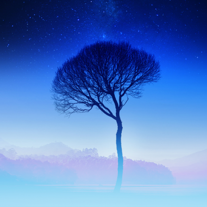 Serenity (a) Roblox music