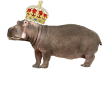 Official Hippo Clan