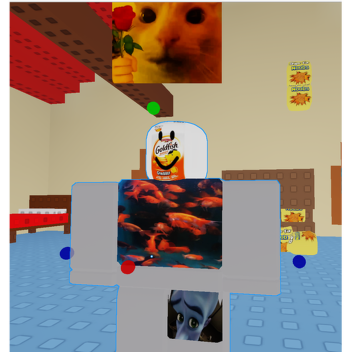 Get chased by goldie :D