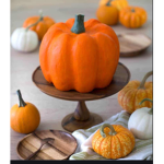 Pumpkinchewyy