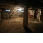 Freezy's Basement