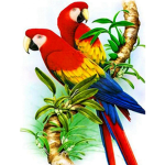clowns dogs parrots fridges more