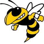 wasps_best