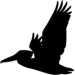 Pelican.