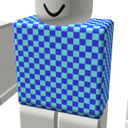 R6 - Torso