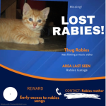 Searching for rabies
