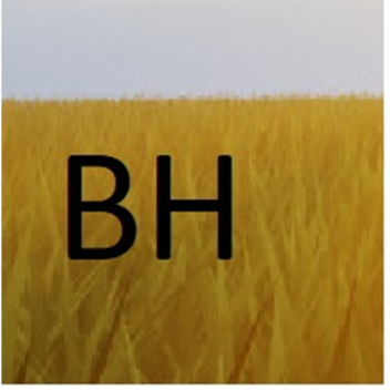 battle hangout [OPEN]