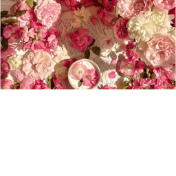 valenttine 2