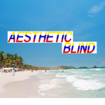 aesthetic blind