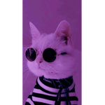 Luvbare