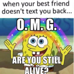 ツ【Memes】ツ