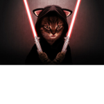C.A.T.S ;)