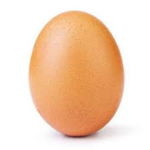 De Egg
