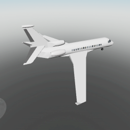 Doggys Private Jet!