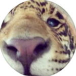 wherz_lily