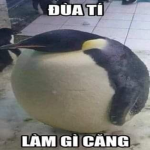 phap su trung h oa