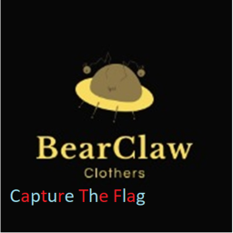 Capture the flag