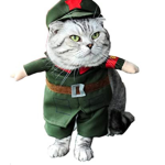 The cc team cat army