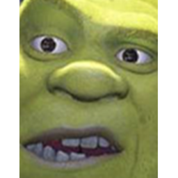 WHAT ARE YOU DOING IN MY SWAMP (ADMIN)