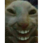 Itz lara